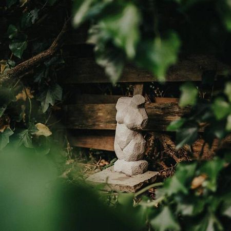 Adenauer Zwoelf - Das 5 Sterne Ferienhaus Mit Sauna Und Garten Am Eifelsteig Kerpen  Esterno foto